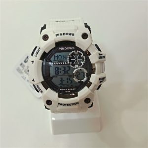 PINDOWS PDS - Image 2